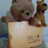 عروسک خارجی خرس و سگ