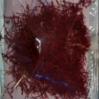 ریشه خشک زعفران