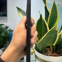 شیائومی نوت 14 با 18 ماه گارانتی