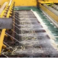 کارخانه قالیشویی پادری، شیبان، فرهنگیان، کوروش