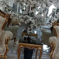 درختچه شکوفه سفید نو