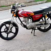 عروسک یک سال بیمه به نرخ مزایده گذاشتم|موتورسیکلت|ساری, |دیوار