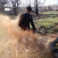 خریدار چوب هرس قطع درخت|خدمات باغبانی و درختکاری|تهران, نعمت‌آباد|دیوار