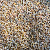 گندم وجووسویاوذرت وانواع کنسانتره هاو کاه و یونجه|عمده‌فروشی|ملارد, |دیوار