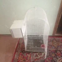 قفس معاوصه با طوطی برزیلی