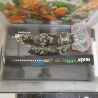 آکواریوم با وسایل|ماهی|سمنان, |دیوار