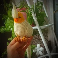 عروس هلندی بافتنی