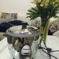 پلو پز و چای ساز سالم هر کدام دونه ای دو تومن