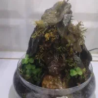 دکور آبنما آبشار دار طبیعت گلخانه ای پمپ دار