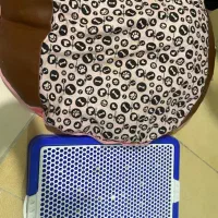 سینی ادرار سگ