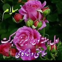 زمین جهت مشارکت