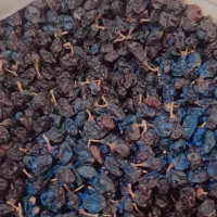 کشمش مویز رنگ شرابی تمیز