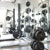 استخدام مربی