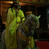 اسب|اسب و تجهیزات اسب‌سواری|تهران, شادمان|دیوار