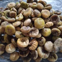 انجیر خشک برزک