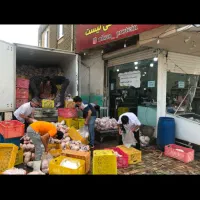 به سه نفر کارگر ماهر جهت مرغ فروشی نیازمندیم