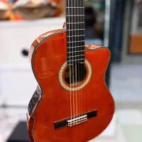 گیتار واشبرن حرفه ای