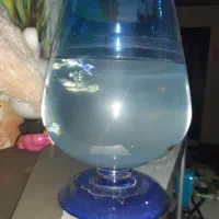 ماهی گوپی|ماهی|رشت, حمیدیان|دیوار