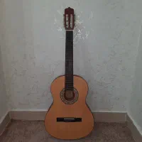 گیتار پارسی(Parsi) مدل M2 همراه با کاور