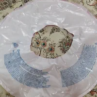 تیوب بادی فانتزی|غواصی و ورزش‌های آبی|شیراز, معالی‌آباد|دیوار