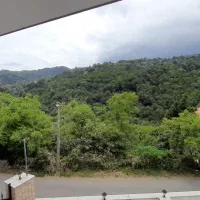 سوییت جنگلی ویلایی نوساز