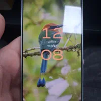 شیامی پوکو اف 5