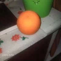 پرتقال ناول کوهستانی