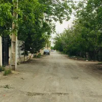 باغ یا باغچه داخل شهر