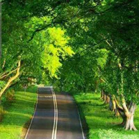 تور شمال سرعین آستارا هتل ساحل لحظه آخری