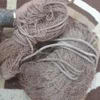 تور ماهیگیری|ماهیگیری|بروجرد, |دیوار