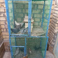 قفس ۲طبقه قفس پرنده