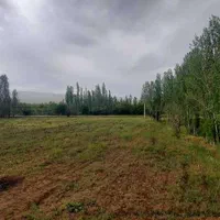 زمین بر جاده اصلی منطقه توریستی داسداران|فروش زمین و ملک کلنگی|خرمدره, |دیوار