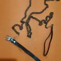 قلاده حیوان خانگی