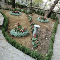 خدمات باغبانی کاشت گل وگیاه فضای سبز باغچه کاری گل