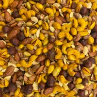 فروشنده آجیل و خشکبار آقا