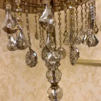 یک عدد اباژور زیبا