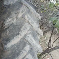 لاستیک تراکتور