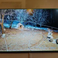 دوربین مداربسته دیددرشب رنگی تا50مترفروش عیدانه»