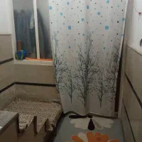 یک آپارتمان نقلی ۵۵ متری واقع در سید معصوم