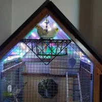 قفس بزرگ چوبی|لوازم جانبی حیوانات|محمدشهر, محمدشهر|دیوار