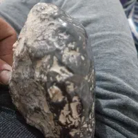 شهاب سنگ|کلکسیون اشیاء عتیقه|کرمان, |دیوار