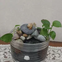 آبنما خانگی