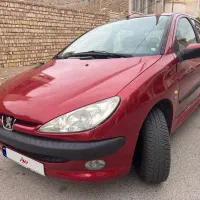 ۲۰۶ اتومات تیپ ۶