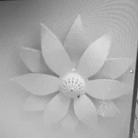 گچ کاری و نقاشی ساختمان|خدمات پیشه و مهارت|سمنان, |دیوار