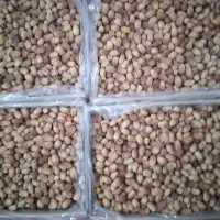 خرما زاهدی درجه یک فروشی امسالی