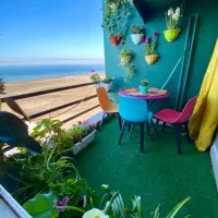 یک خوابه دریا 44 - رزرو قسطی در جاباما