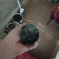 المانی|کلکسیون اشیاء عتیقه|مشهد, نوده|دیوار