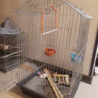 قفس بزرگ  پرنده  ضد زنگ و با لوازم که داخل عکس