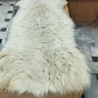 پوست گوسفند طبیعی