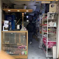 واگذاری کامل مغازه دخانیات|اجارهٔ مغازه و غرفه|پرند, فاز ۲|دیوار